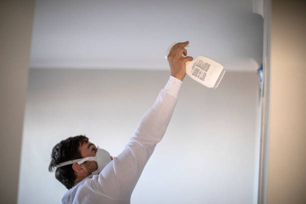 Best Local Mold Removal Service  in Waterflow, NM