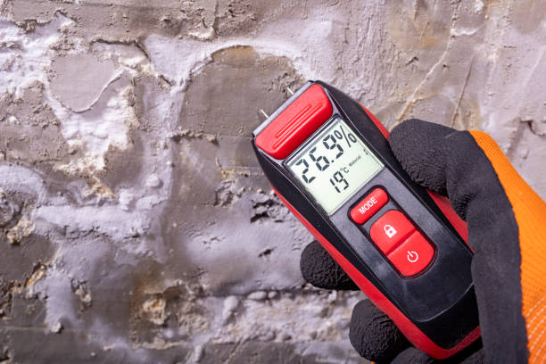 Best Black Mold Removal  in Waterflow, NM