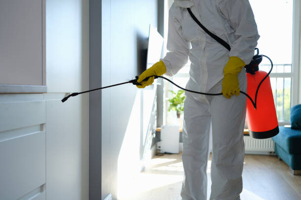 Best Mold Cleaning Services  in Waterflow, NM